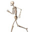 The Boner Meister