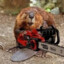 EVILBEAVER