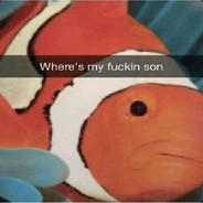 Where's my fucking SON