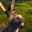 El burro de Shrek