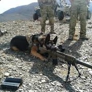 {ALT}_Sniperdog