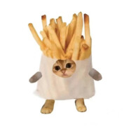 离婚后看淡了很多