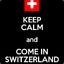 The Government of Switzerland