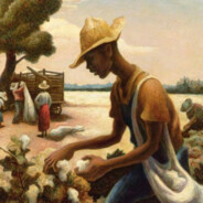 The Cotton Collector