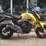 马踏东京赏樱花