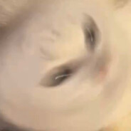 去水母田捉水母