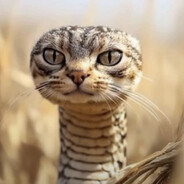 ashtuah - steam id 76561199136029580