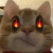 最喜欢岳岳的欣欣