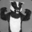 BadgerSlap