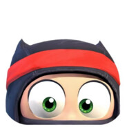 Clumsy ninja