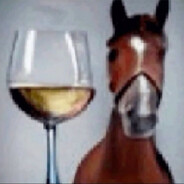 A Alcoholic Horse