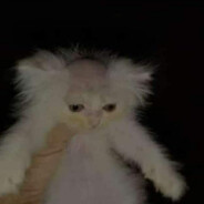 55555