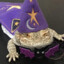 Lizard Wizard