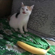 Berutai
