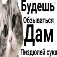 ОЩИХИТЕО zxc