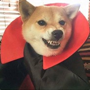 much bork, such teeth