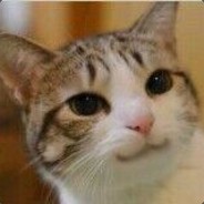 小痴呆