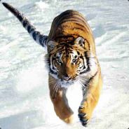 ^8!^3H^8T^3! ^8Bloo^3dy