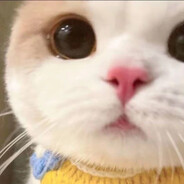 共同富裕要叫我