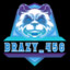 BraZy_456