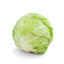 cabbage