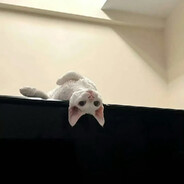 明天一定好好吃饭