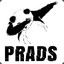 PRADS