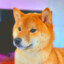 WILD doge-rewardsgg TRADE?