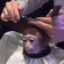 Monkeycut