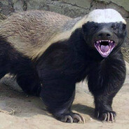 Miodożer