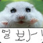 김도훈