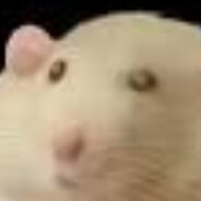 Useless Rodent