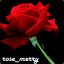 rose_merry