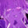 UCN Eclipse avatar