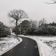 好天气怎么能没有你