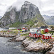 zipo02 - steam id 76561199741921511