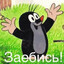 ГЛУХОЙ КРОТ
