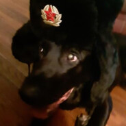 Comrade Cannoli ☭ Steam avatar