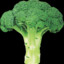 Broccoli Hill