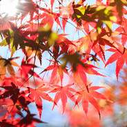 笑顔无双 咻咔咻