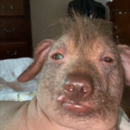 我来监督沙瑞金