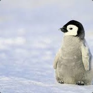 Small Fat Penguin