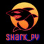 Shark_py