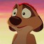 Timon