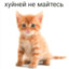 поплачь