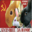 Revolutionary Rabbit