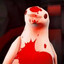 Birdinaut