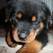 F473|2 - steam id 76561197960822583