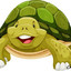 dc_turtlee