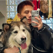 爱抽雪豹的悦客5